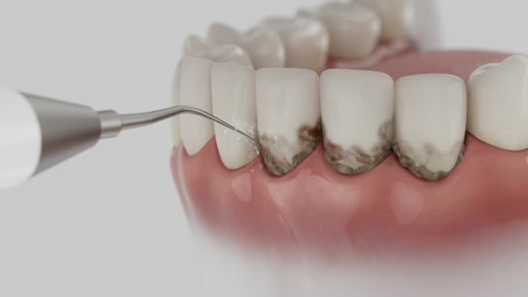 Reliable Dental contractor in New London, WI by Dentist Open Now